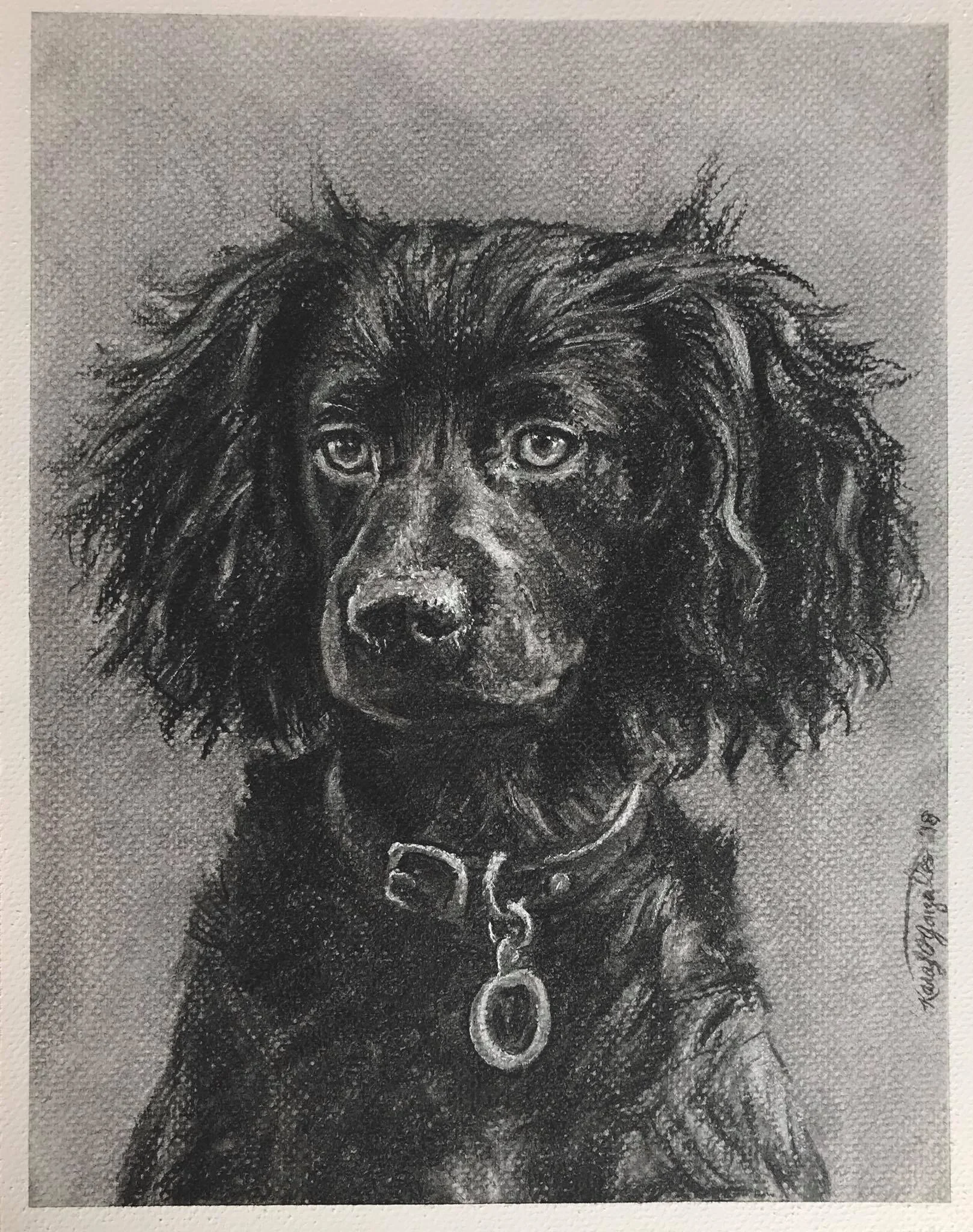 Commissioned Pet Portrait