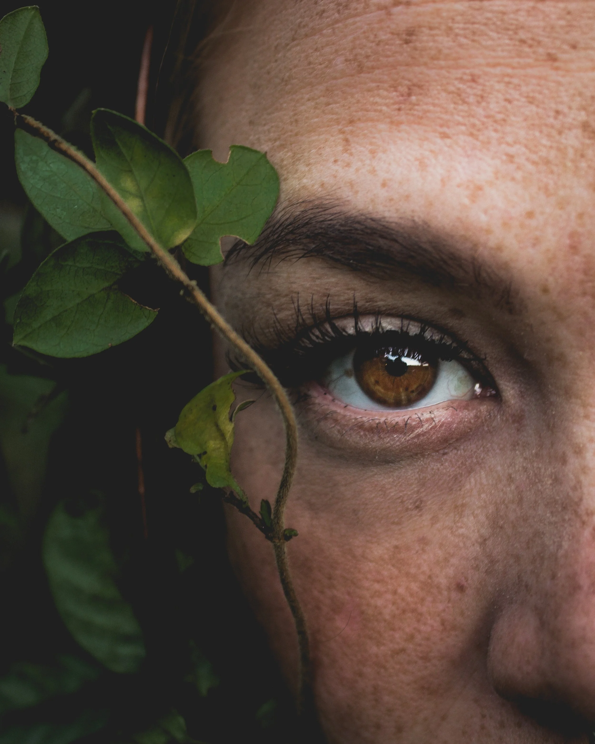 Eye
