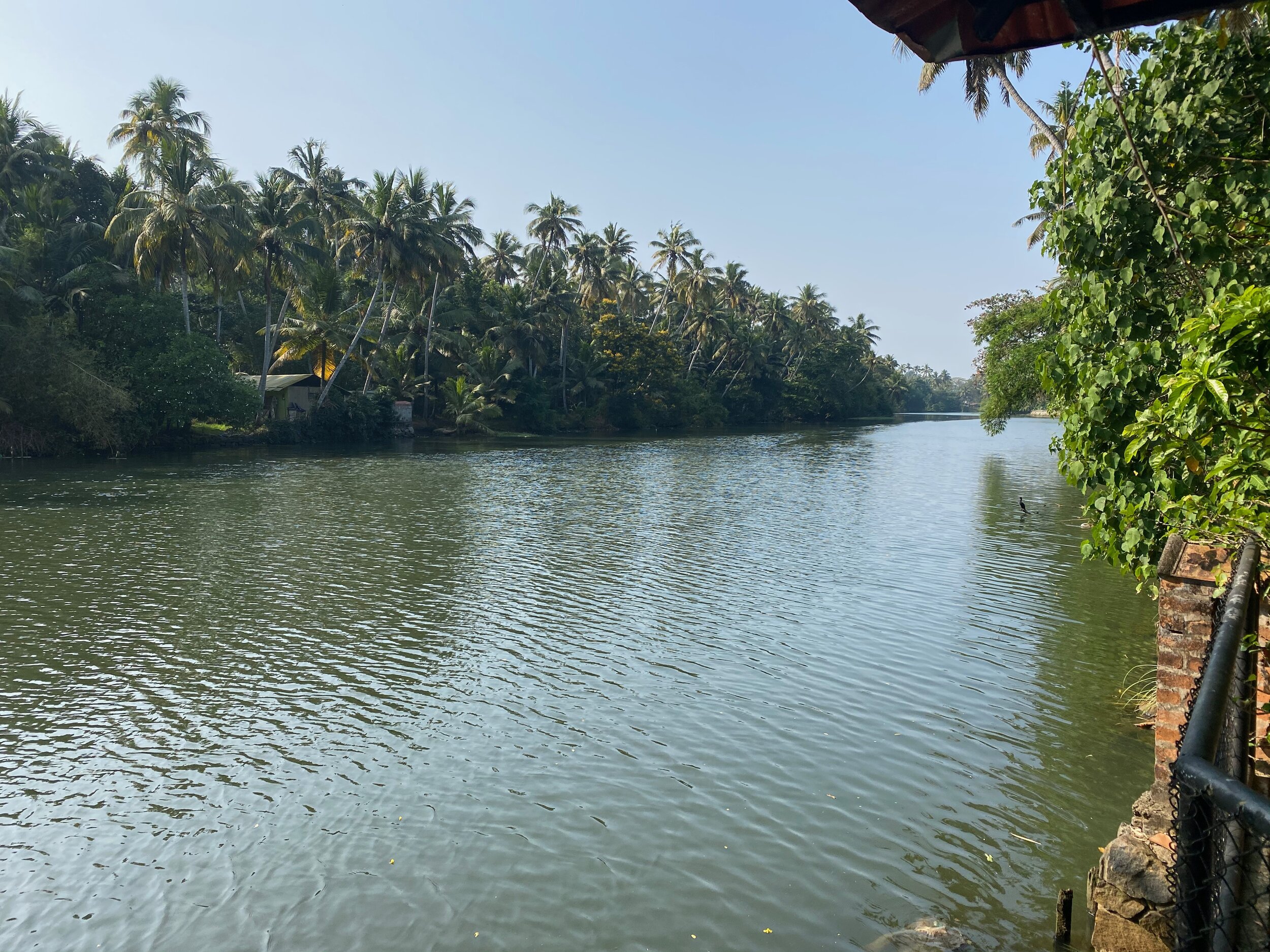 Backwaters