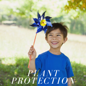 Copy of Untitled (1).png