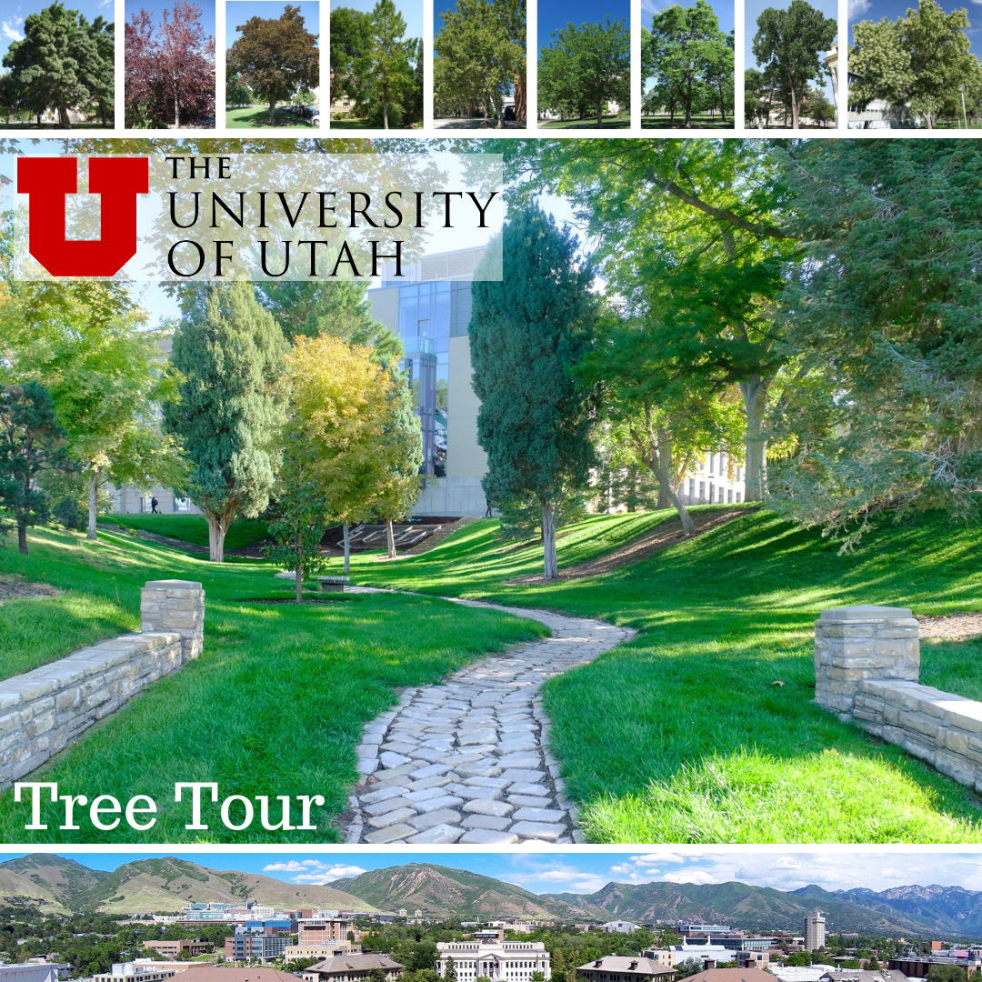 Scenic Nature Walk in the Heart of Salt Lake City