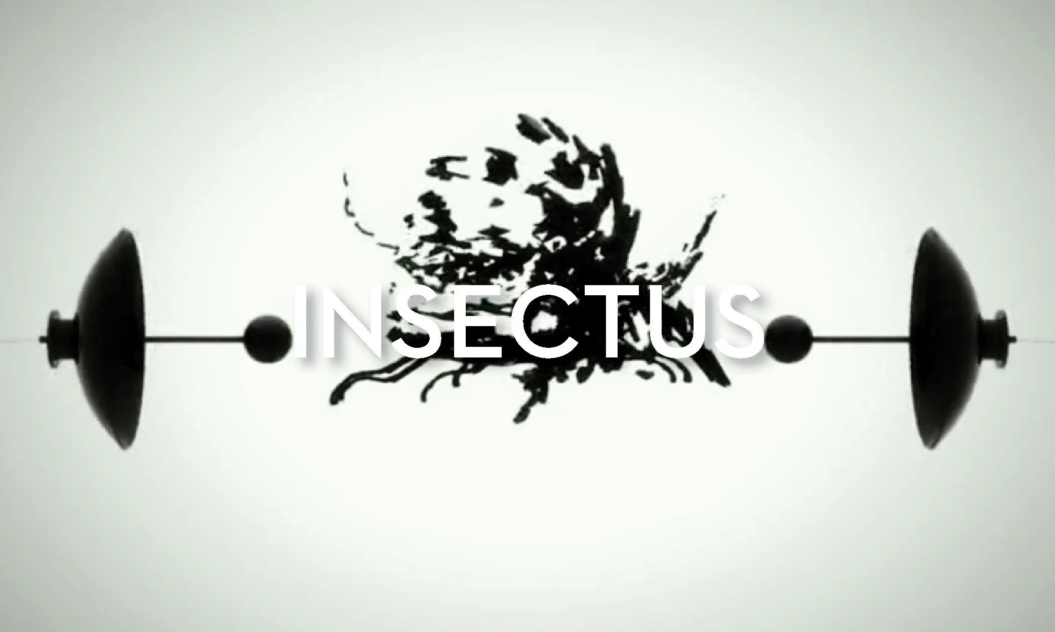INSECTUS FILM