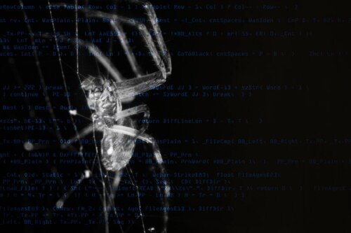 Dark Web Scanning