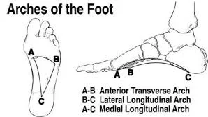 Photo Credit: FeetGuru.com