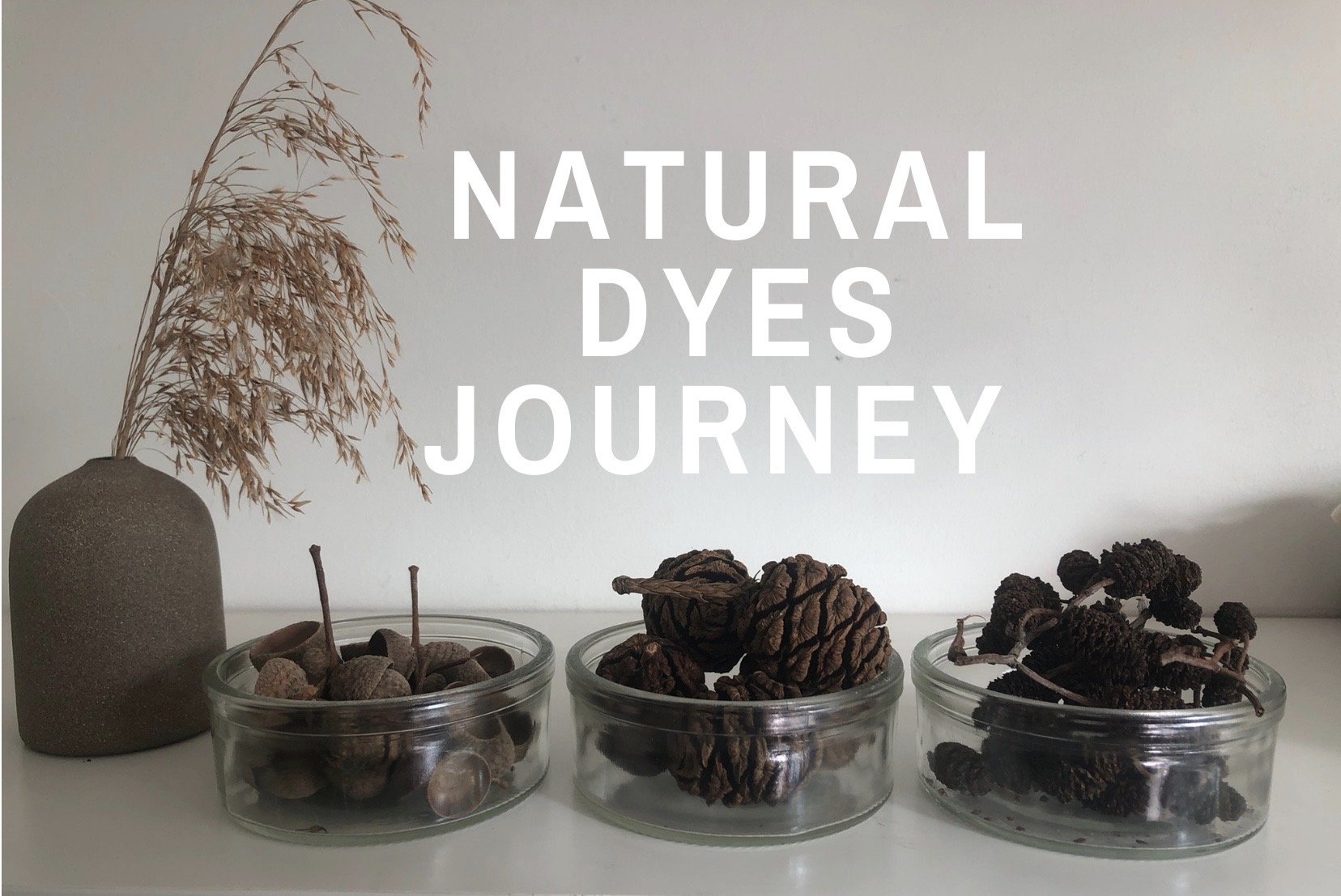 COMING UP: MAKE YOUR OWN AUTUMN SEASONAL DYES 