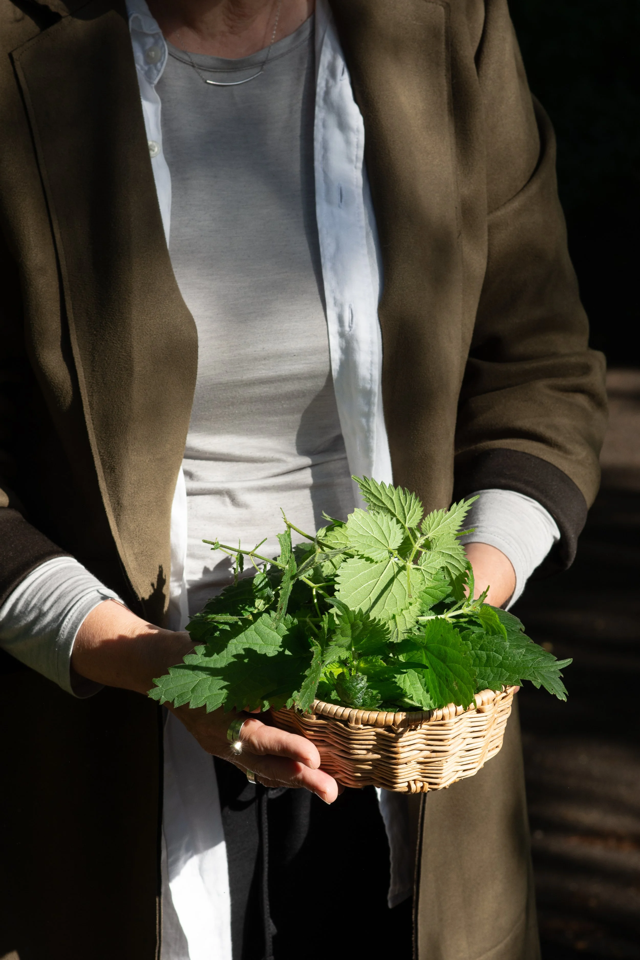 SPRING NATURAL DYES COURSE