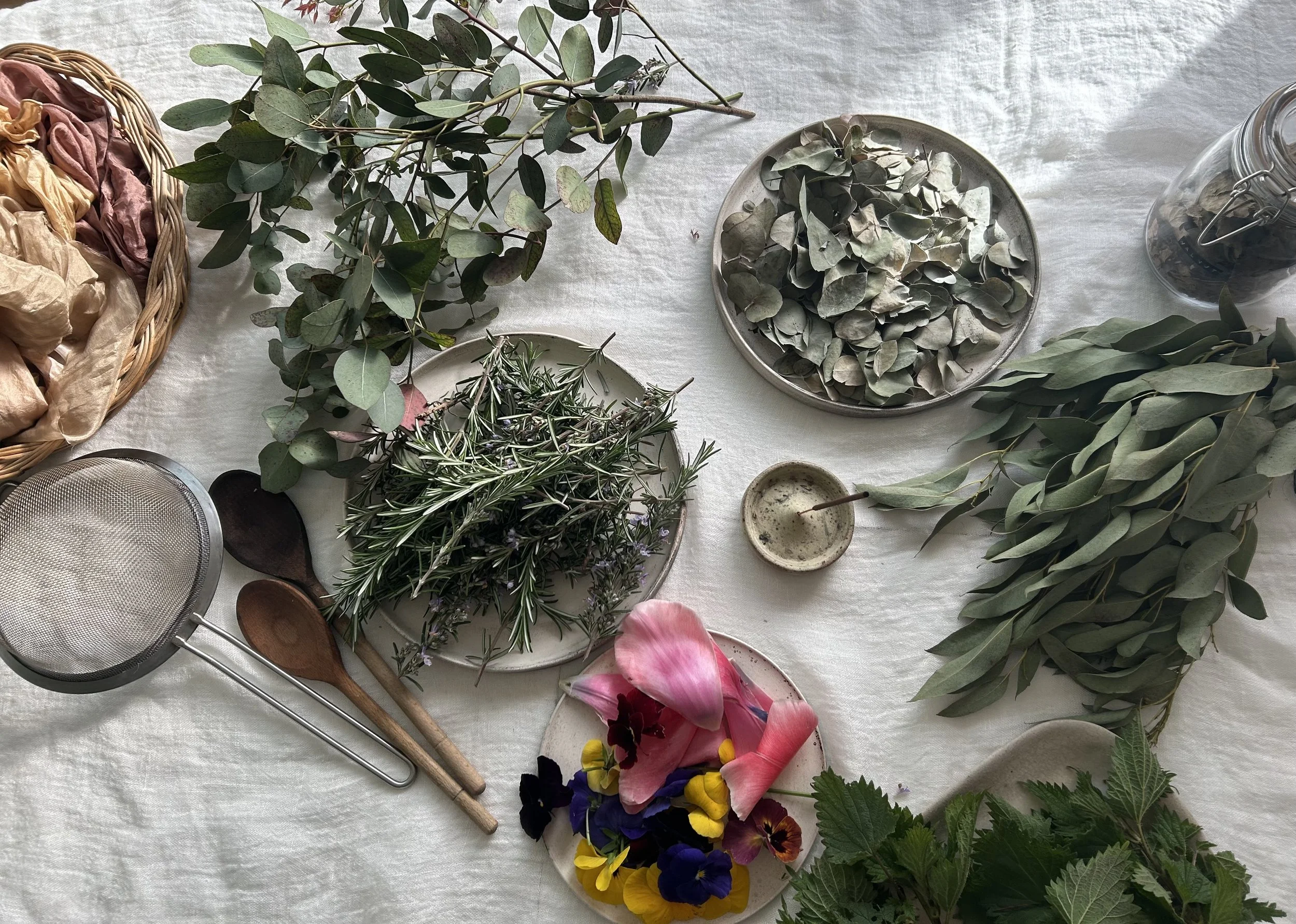 SPRING NATURAL DYES COURSE