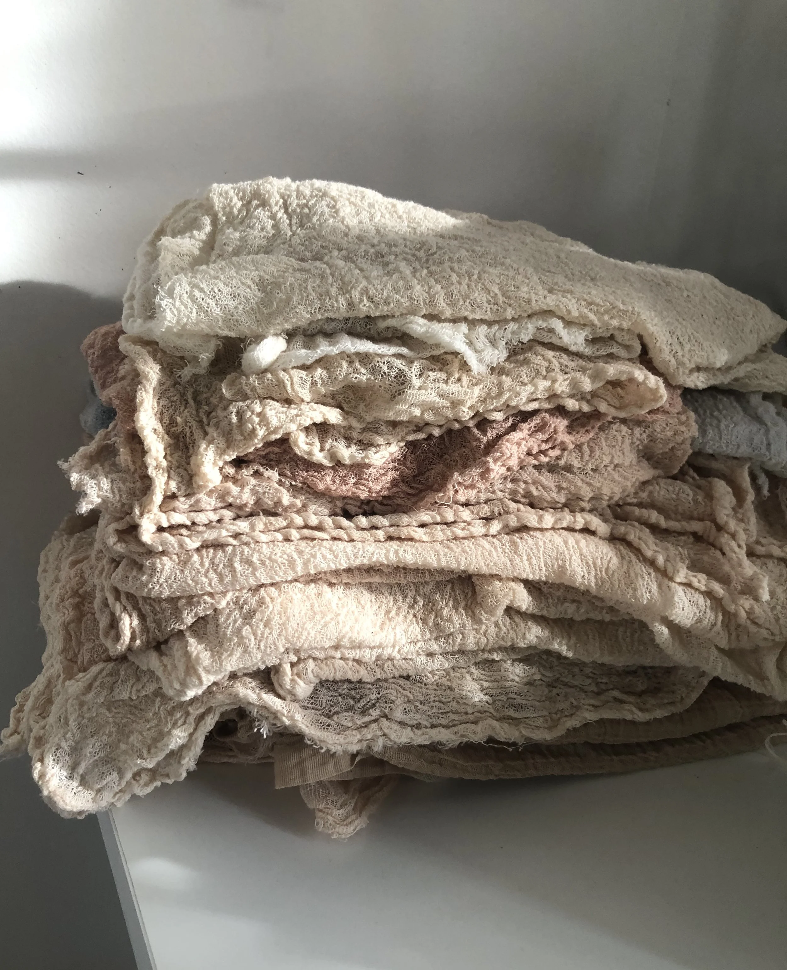 FROM FORAGING TO FABRICS: A CREATIVE JOURNEY THROUGH NATURAL DYEING