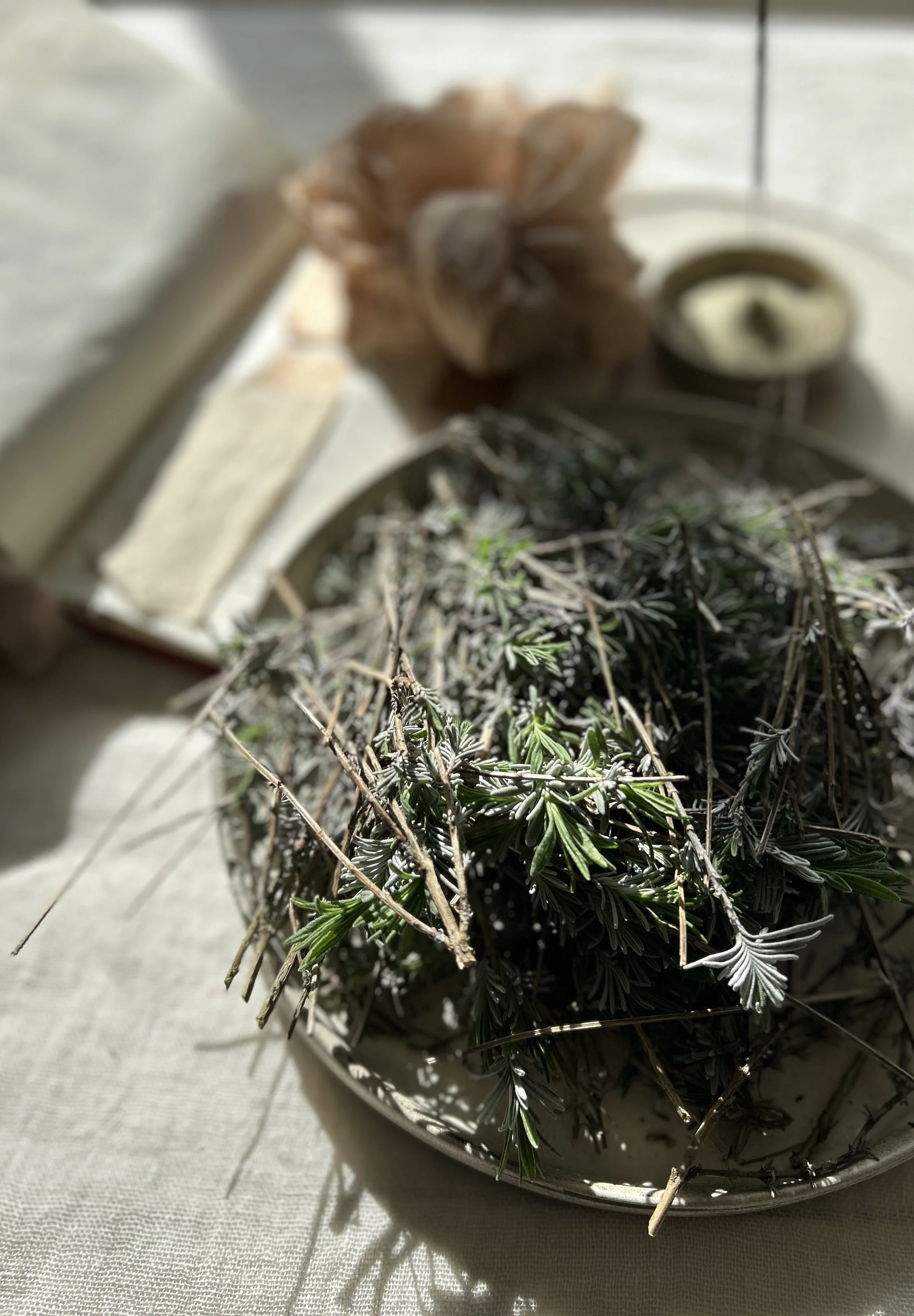 Spring Natural Dyes Online course

