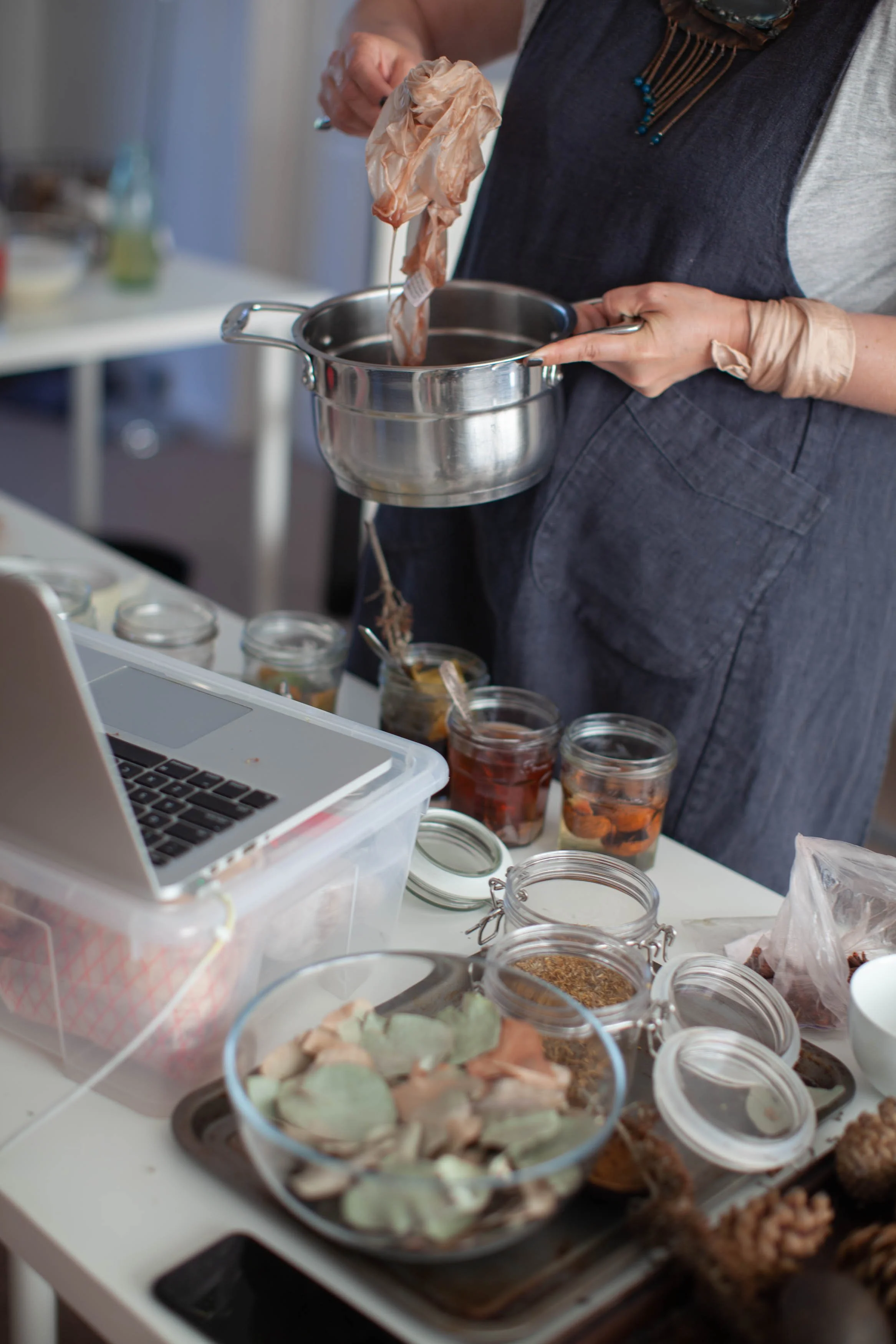 online introduction to natural dyes workshop.JPG