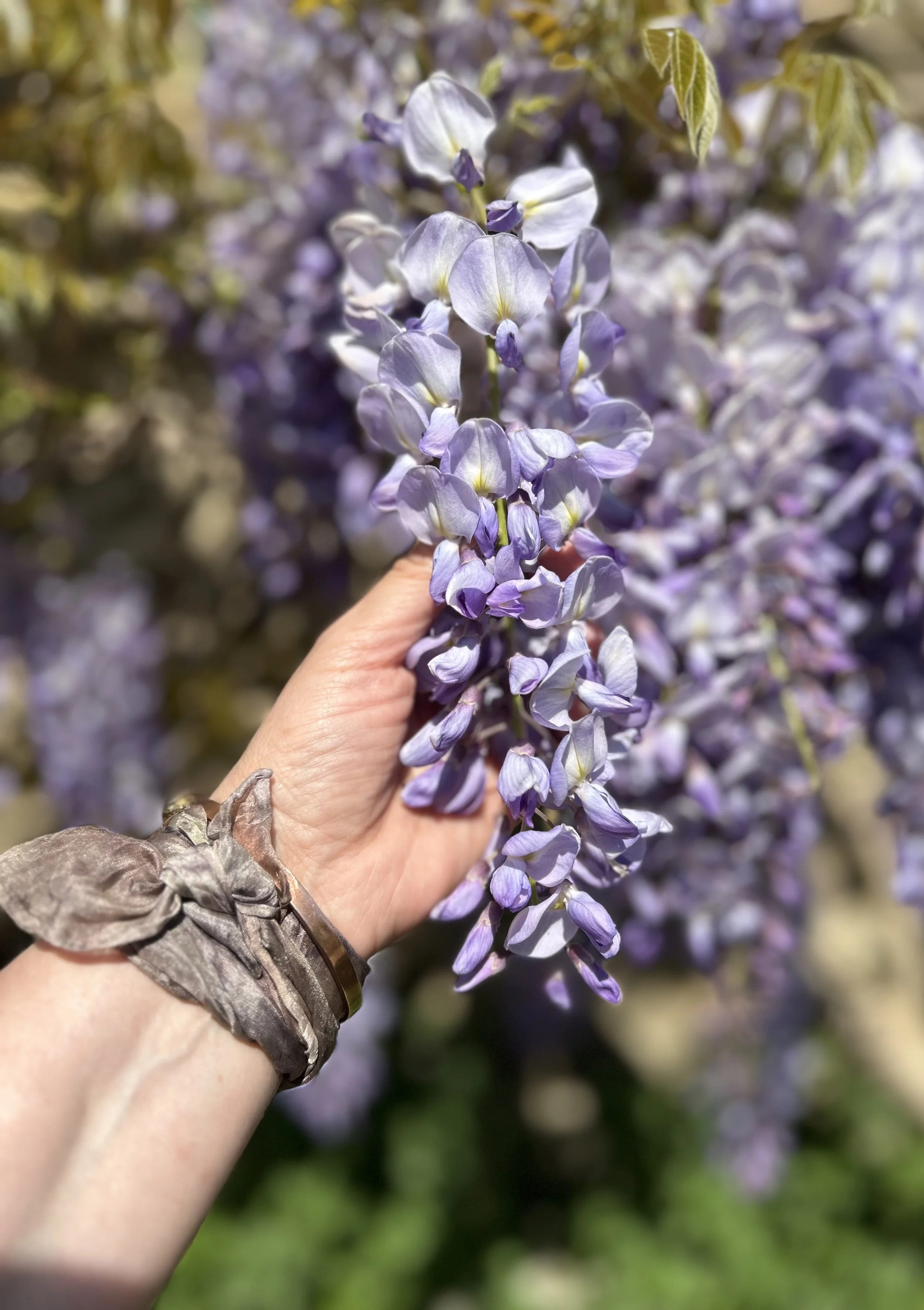 CRAFT YOUR SUMMER SILK POETRY