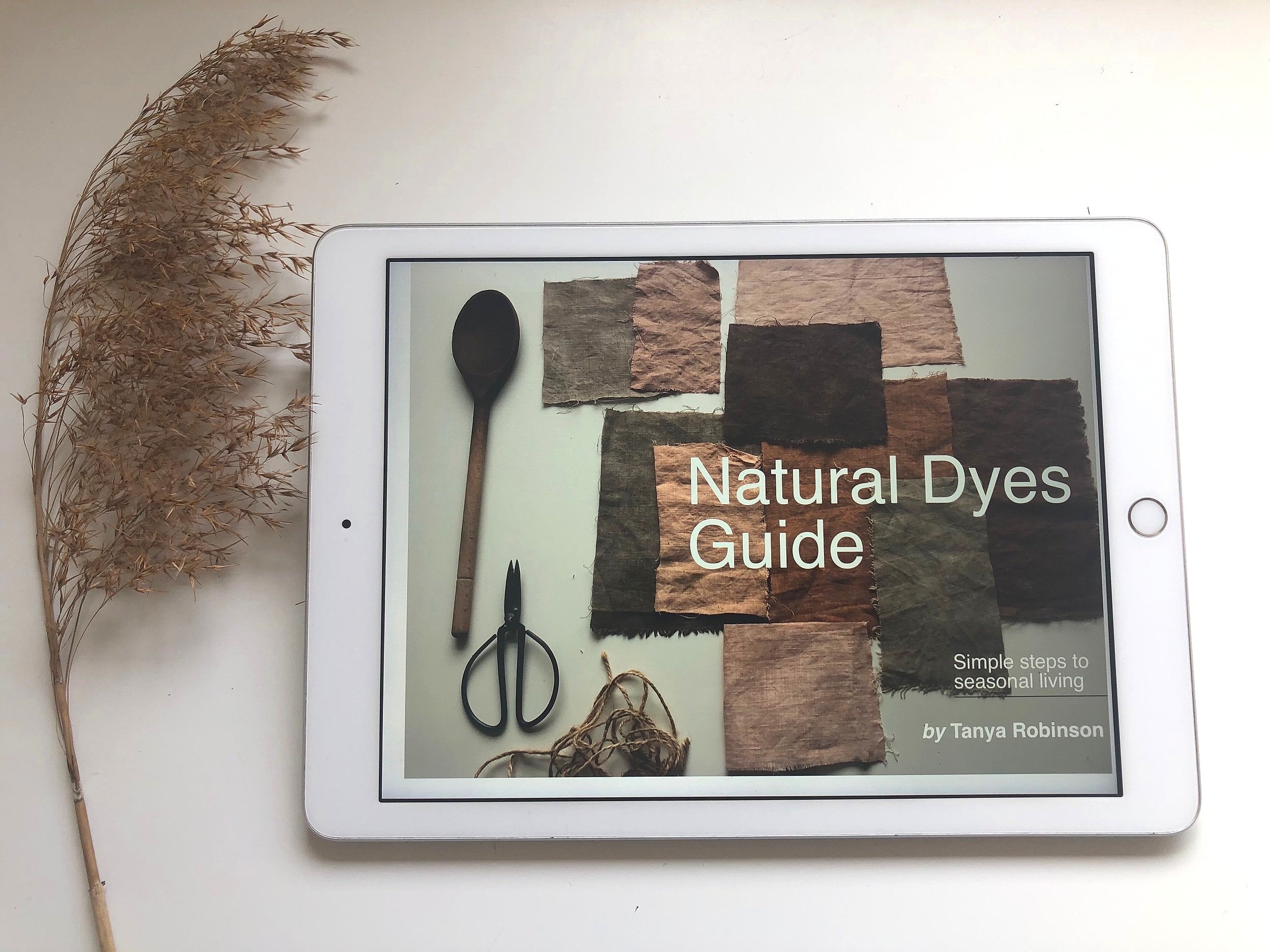 E book Guide

