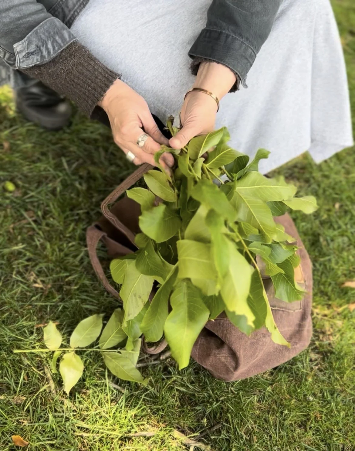 Walk to Colour. Sensory Taster Session in Natural Dyeing &amp; Creative Wellbeing