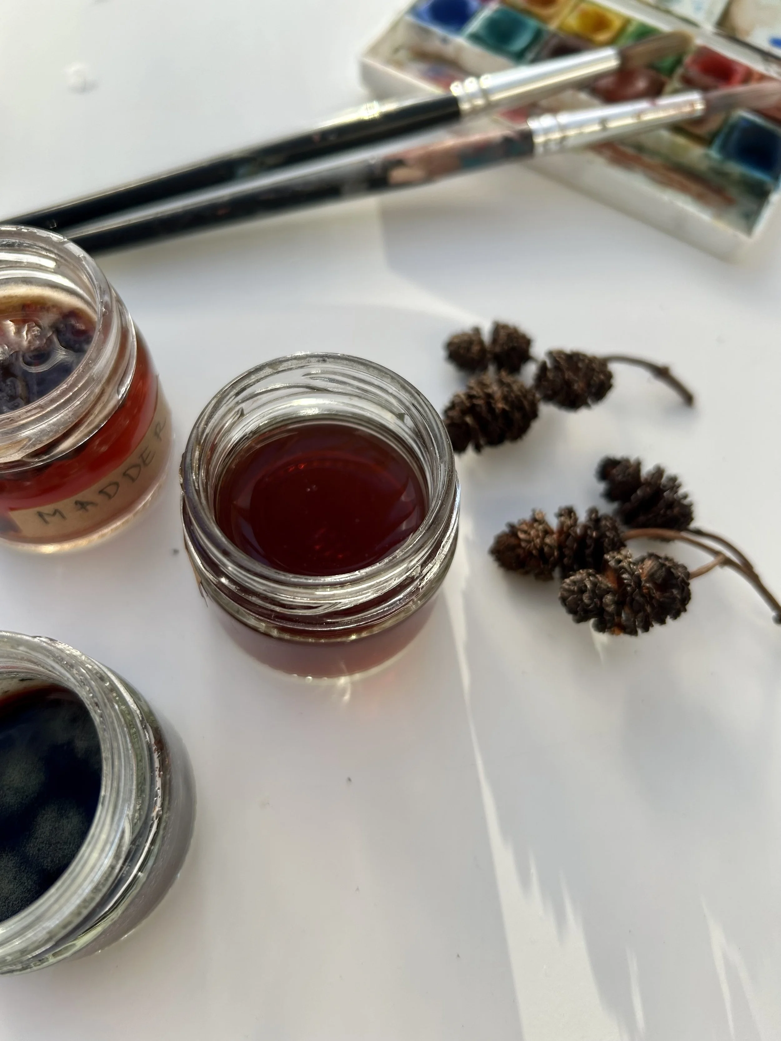 Natural Dye Inks Workshop

