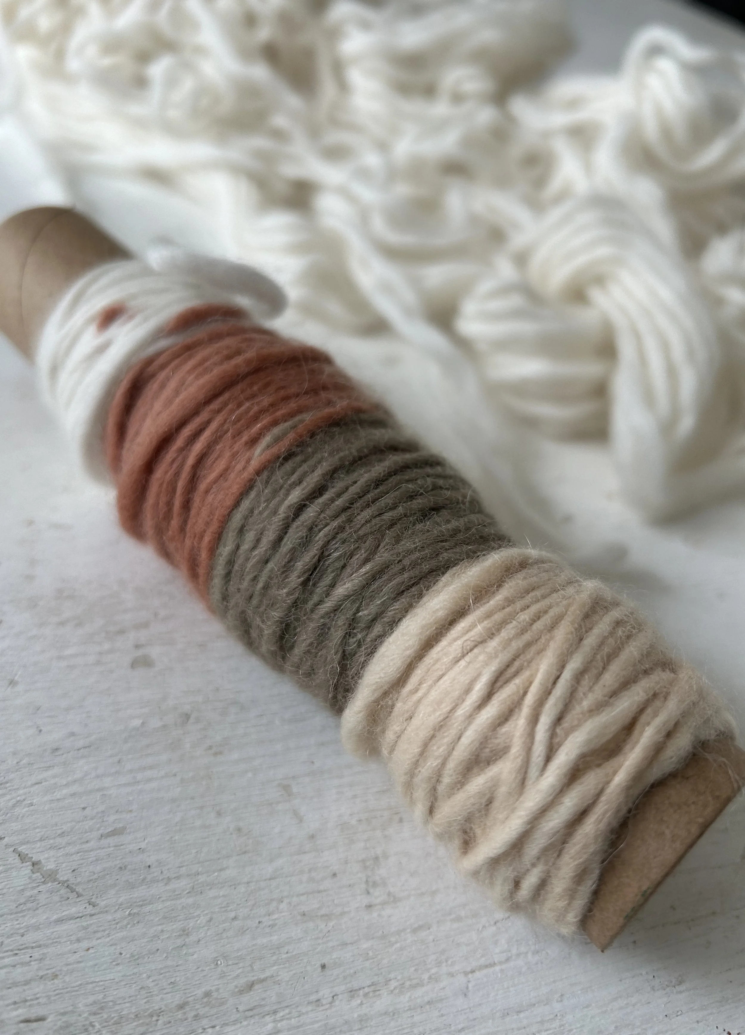 HAND-DYE YOUR YARN WITH PLANTS