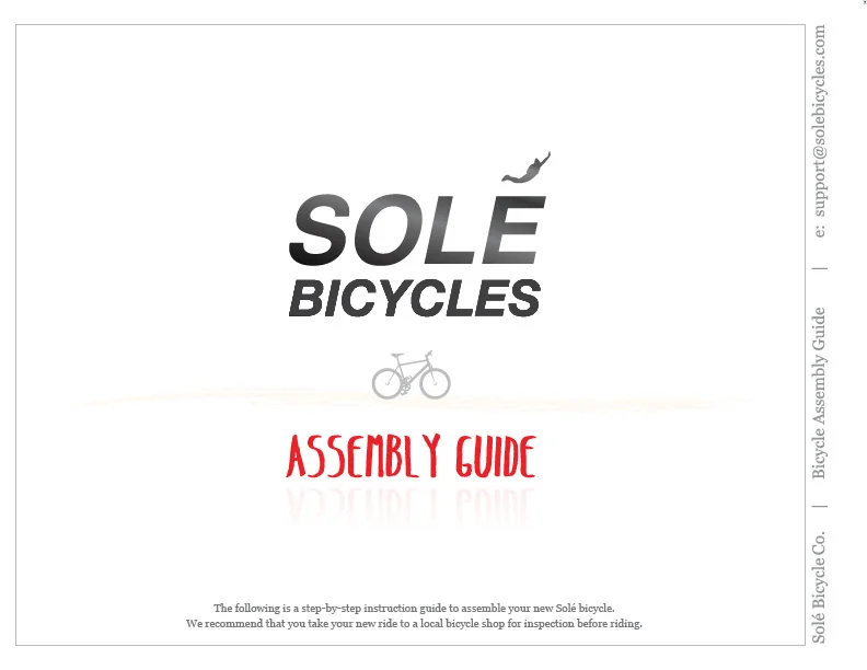 Solé_Assembly_web2.jpg