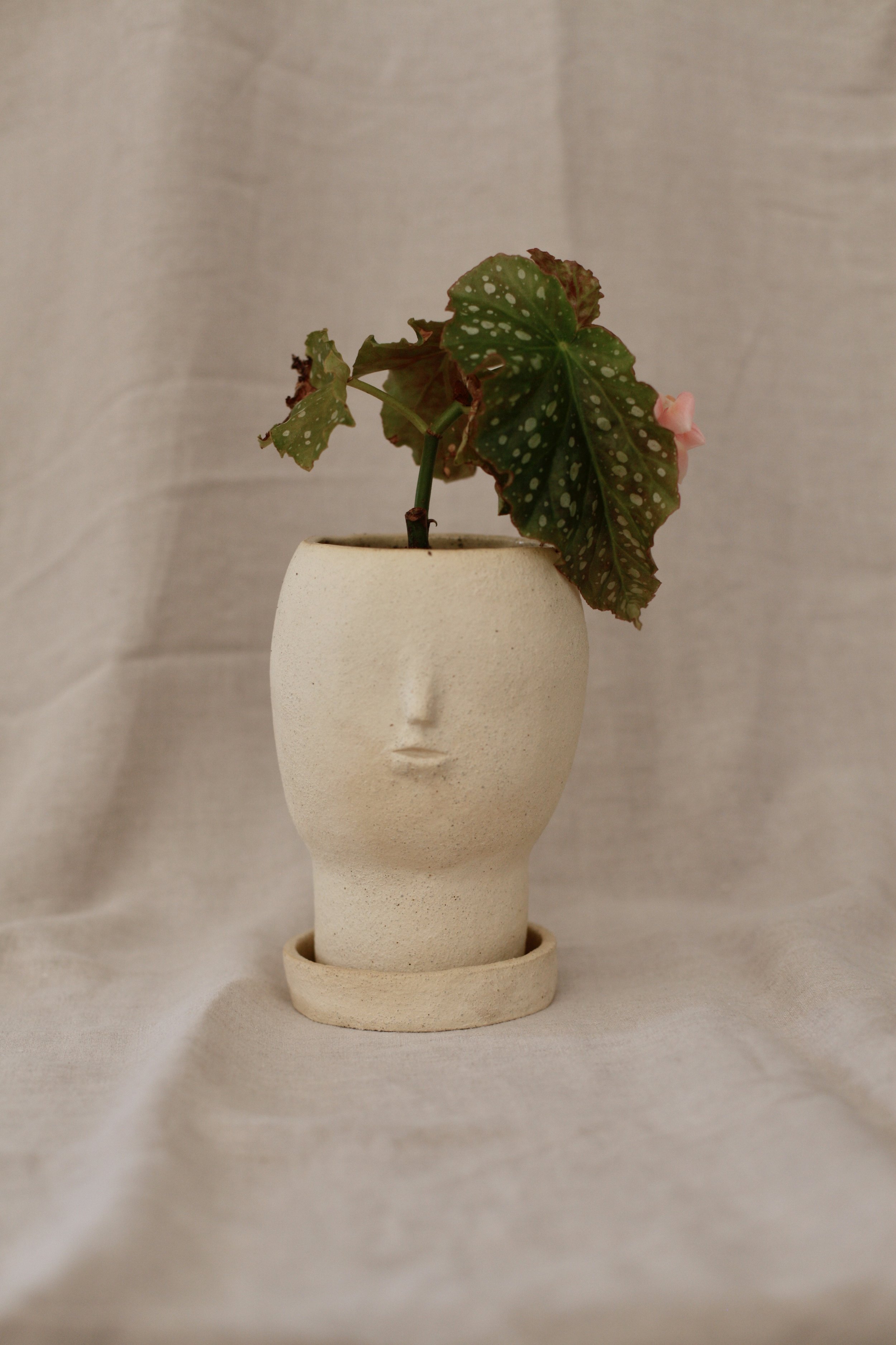Planters