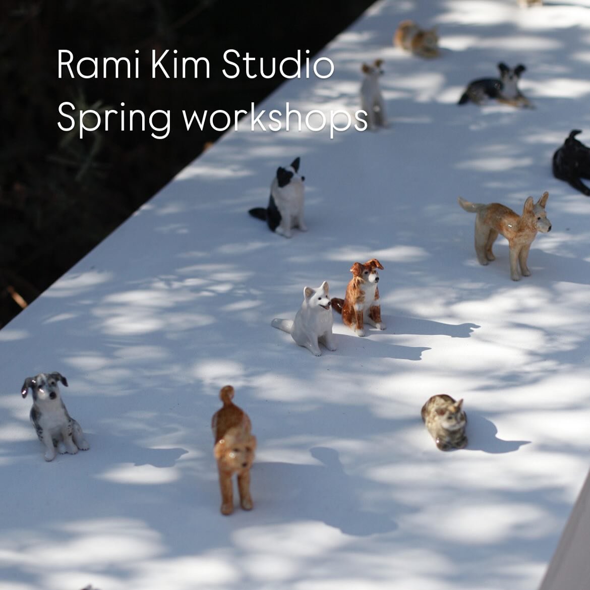 My spring workshops are back on my website&mdash;-It&rsquo;s been a little while, but with the weather turning nicer and the joy these gatherings bring, it feels like the perfect time to dive back into it. 🌿🌿 Both workshops will take place in La Cr