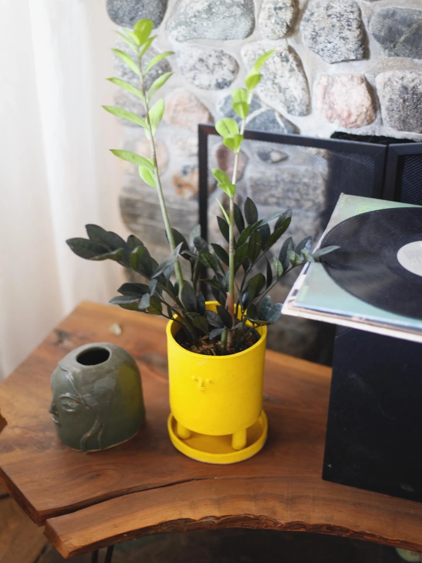 Tripod Mini Face Planter in Intense Yellow with Saucer 🌱 🪴💛