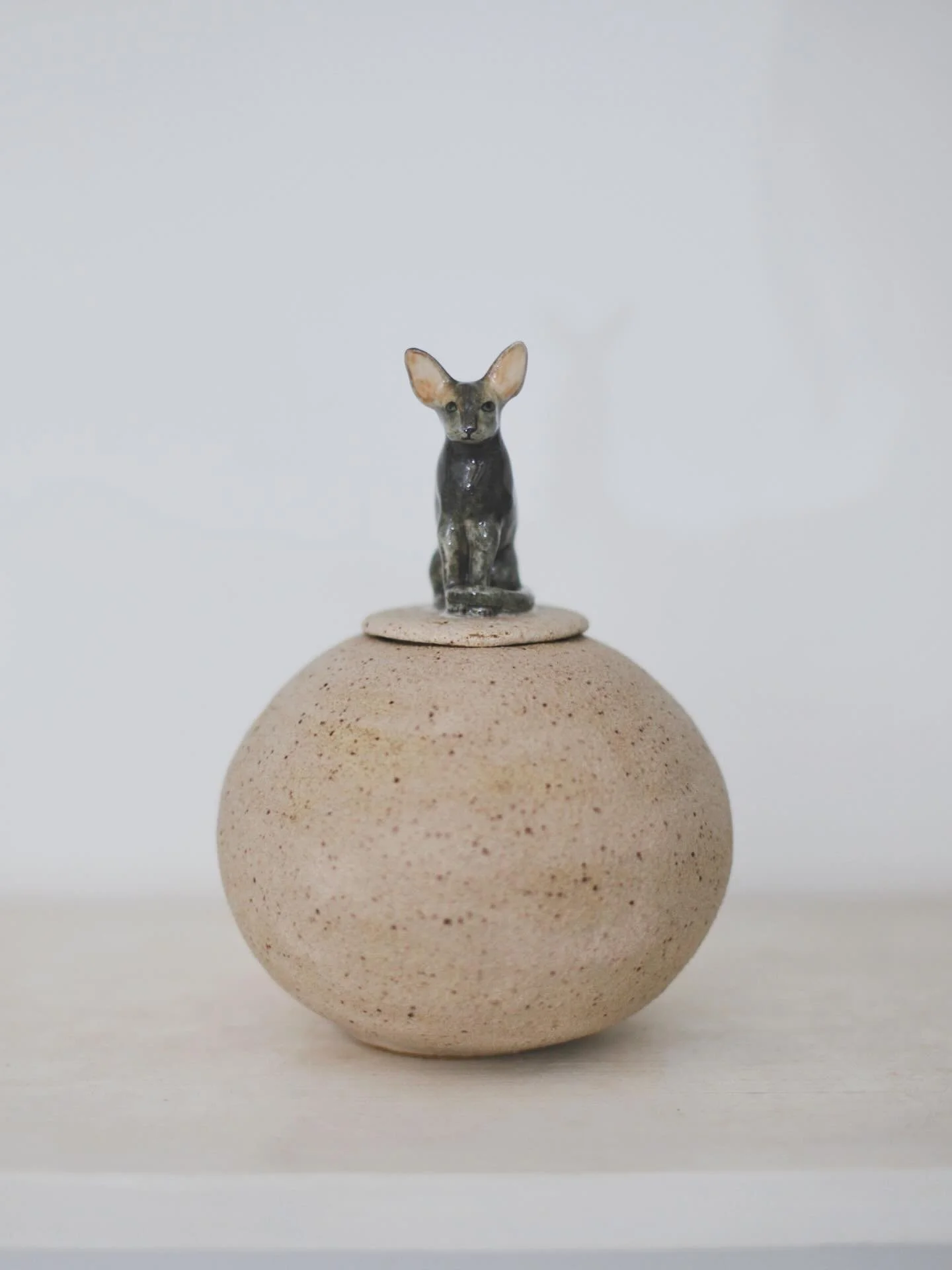 I recently created a very special piece for M, who I first worked with during the pandemic when I sculpted her cat. She reached out again back in May, this time with the tender request of an urn for her beloved cat.
I made a moon jar to hold that me