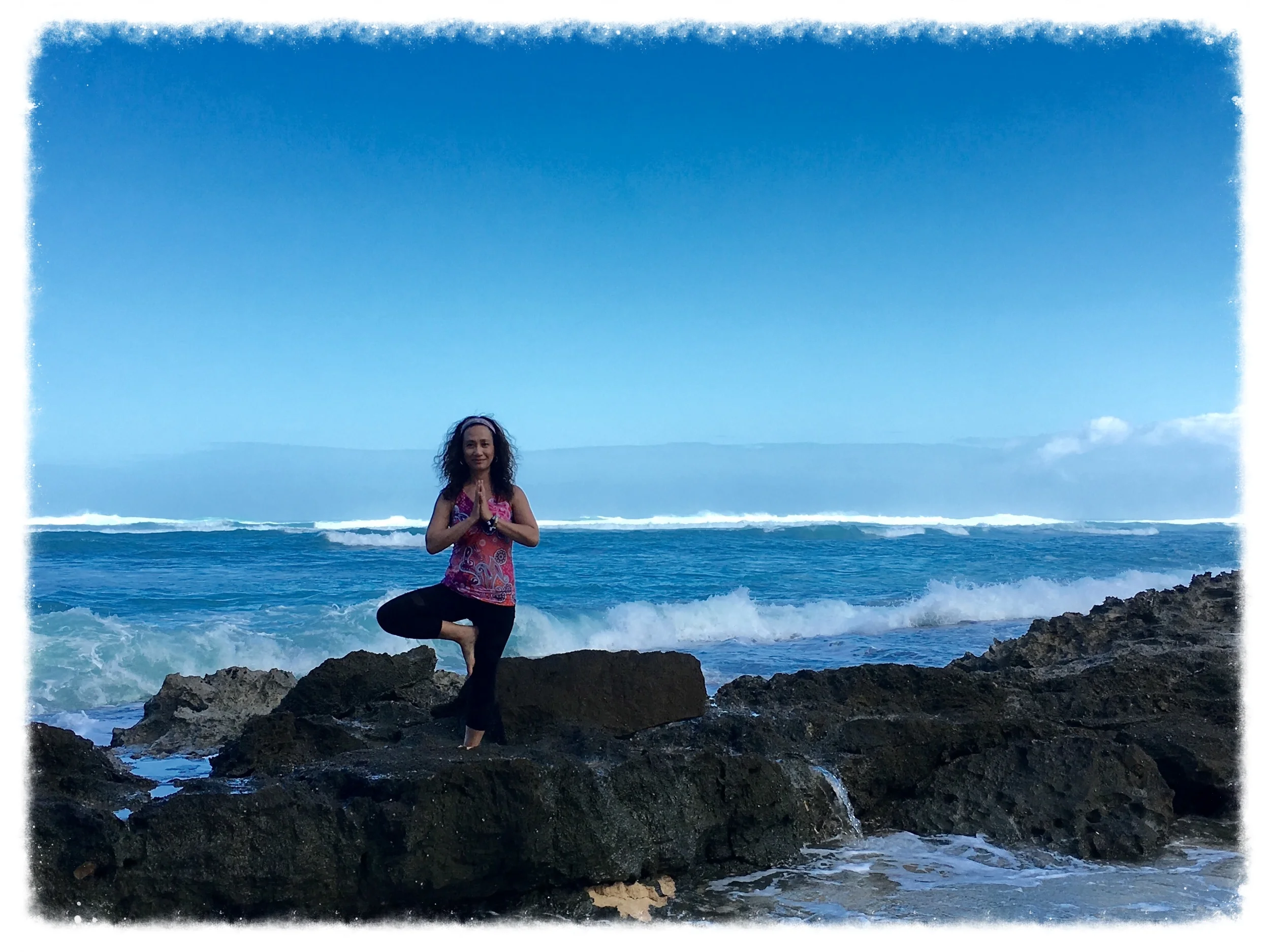 Tree, North Shore Oahu