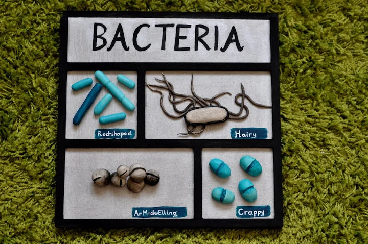 bacteria_panel_01.JPG