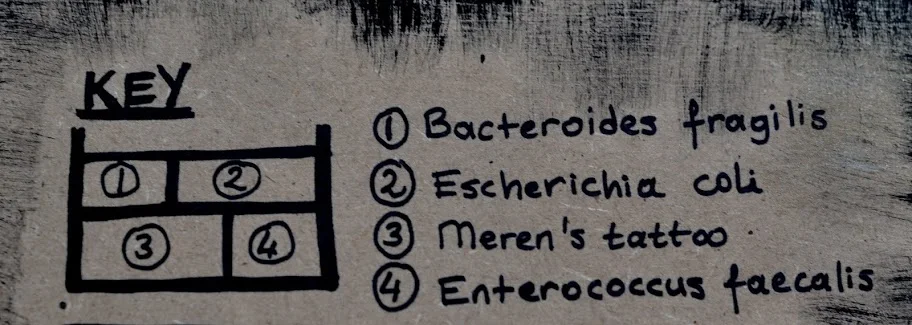 bacteria_panel_07.JPG