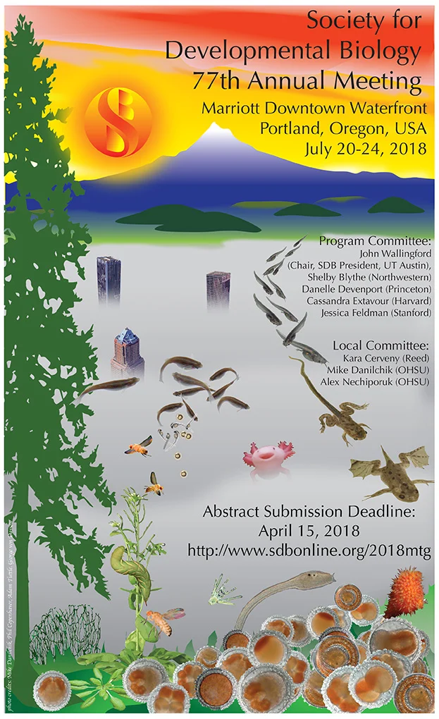 SDB2018Poster_web.jpg