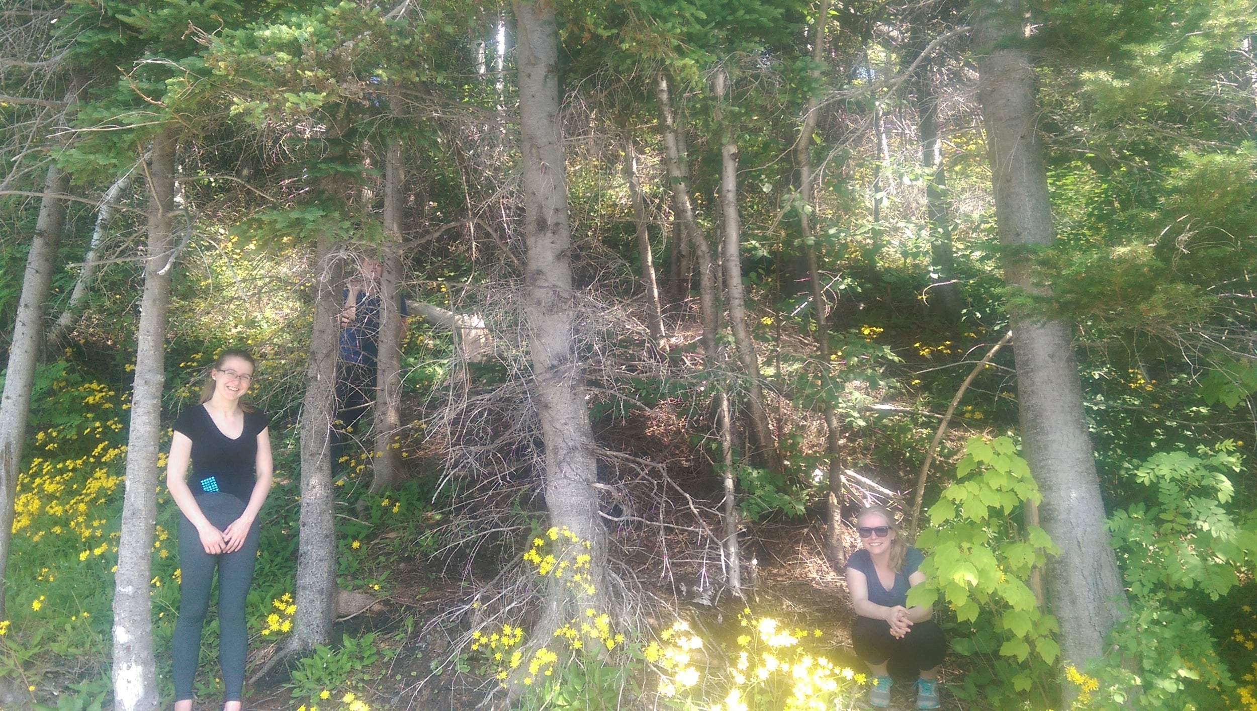 Kathryn begins (and extends) her adventures with amino sugars!