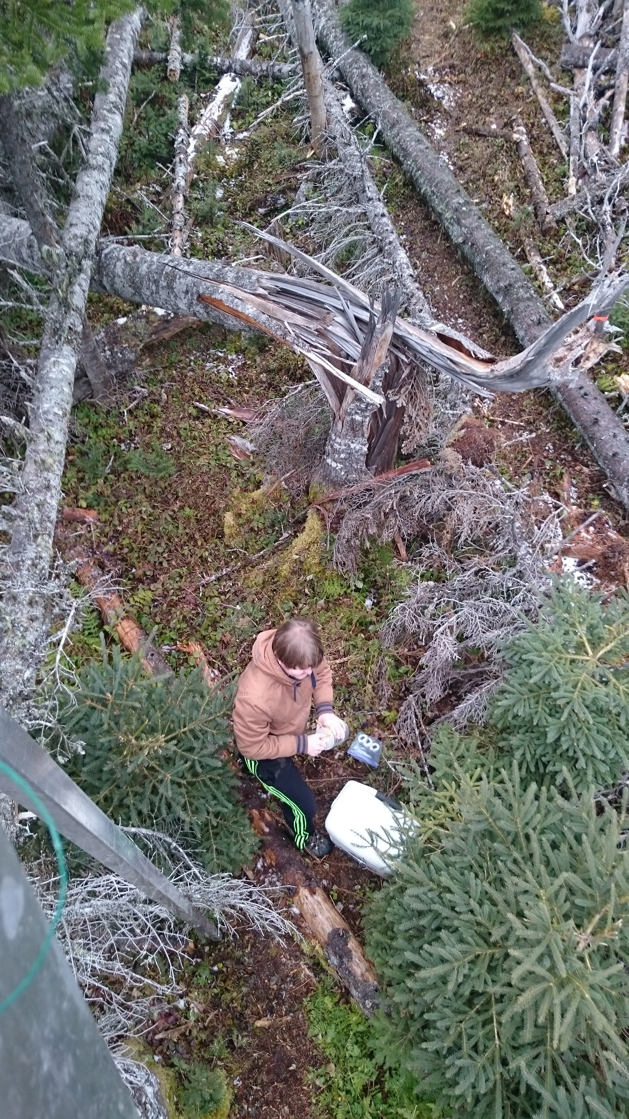 Bryan Place Awarded NSTP Funding!