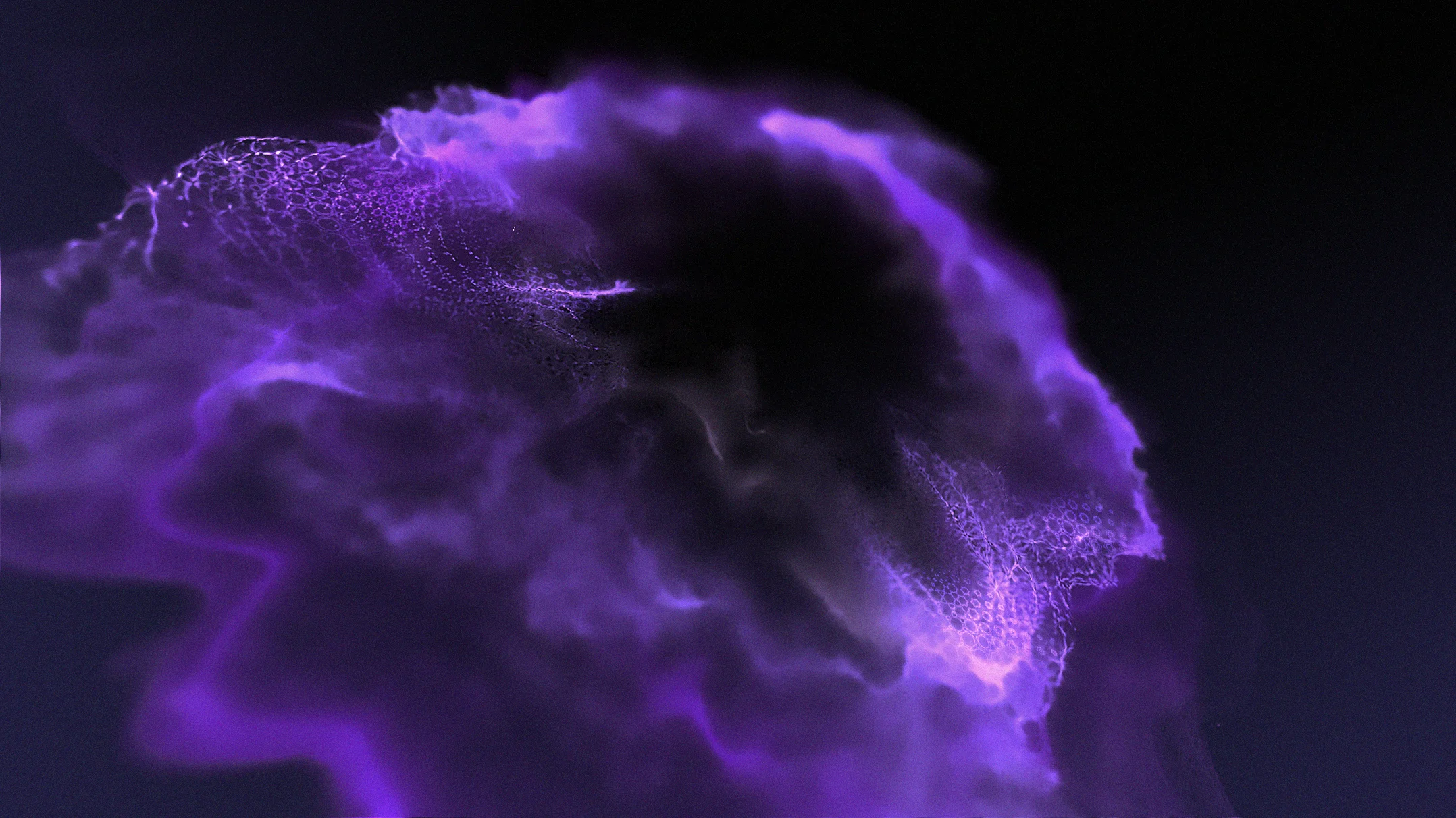 forceField_des_v001.jpg