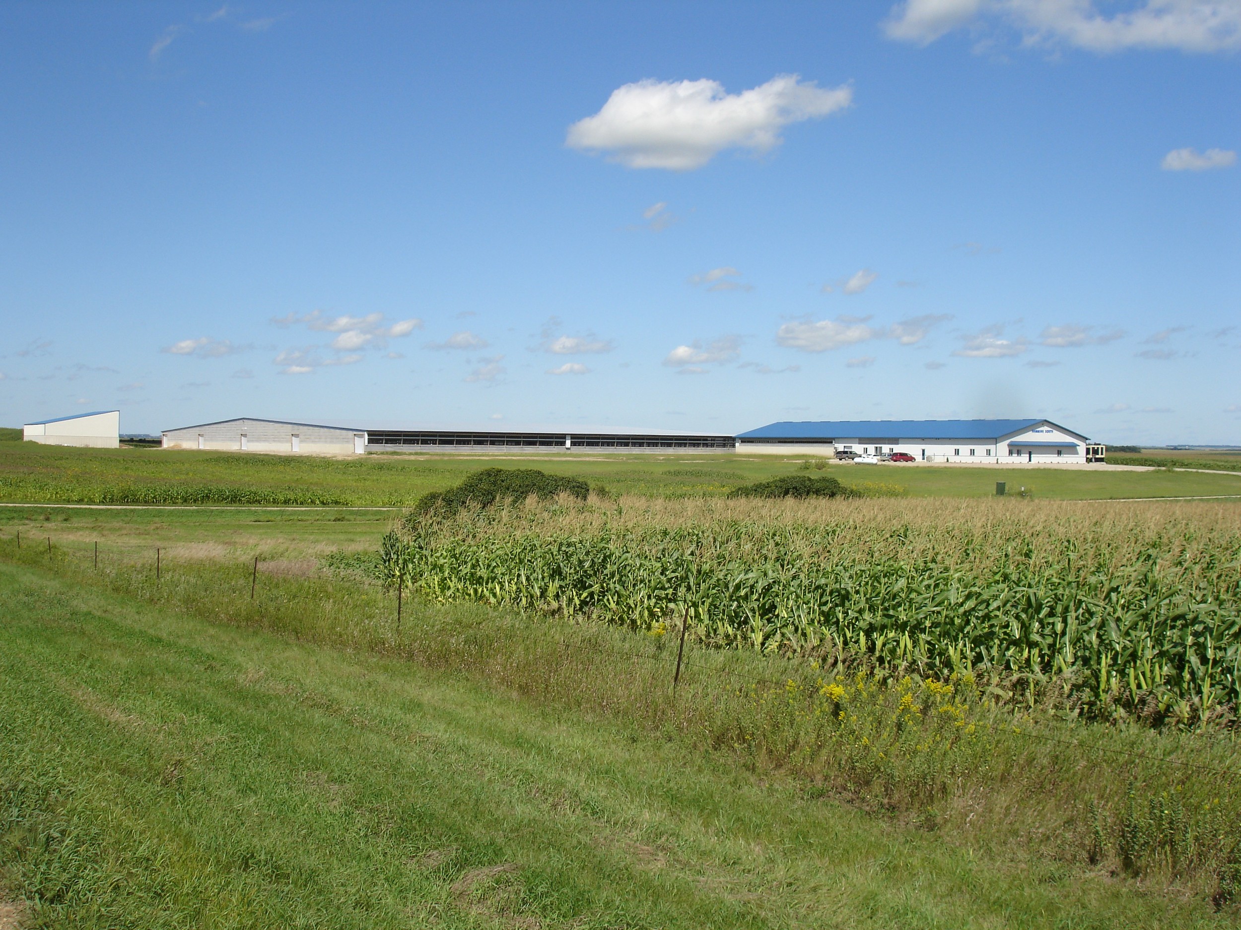 Hammink South Side view of our cross ventilated barn