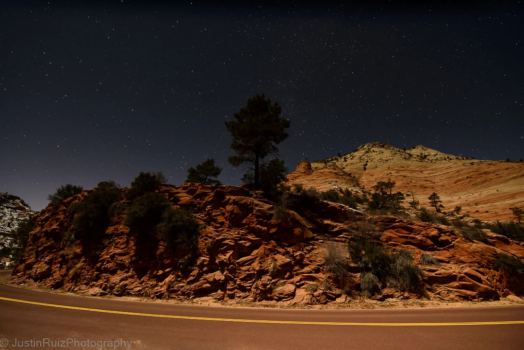 JustinRuizPhotography_DSC1557_20141229.jpg