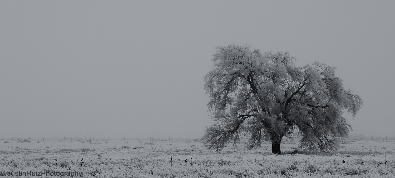 JustinRuizPhotography_DSF6364-Edit-Edit-Edit-2-Edit_20150101.jpg