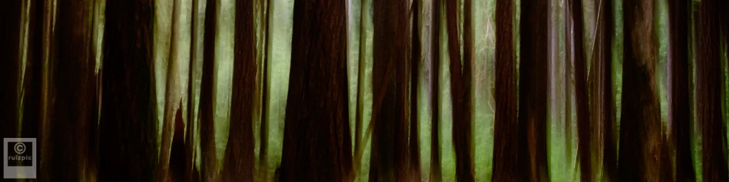 JustinRuizPhotography_DSF0262 as Smart Object-1 - Austin Art Board 06_20150719.JPG