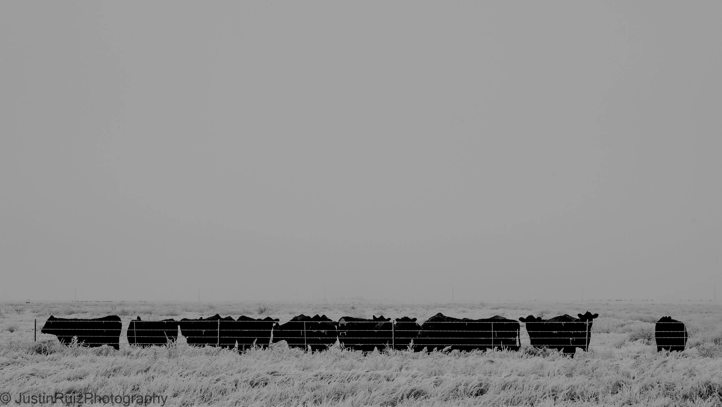 JSRPhotography 2015_DSF6515.jpg