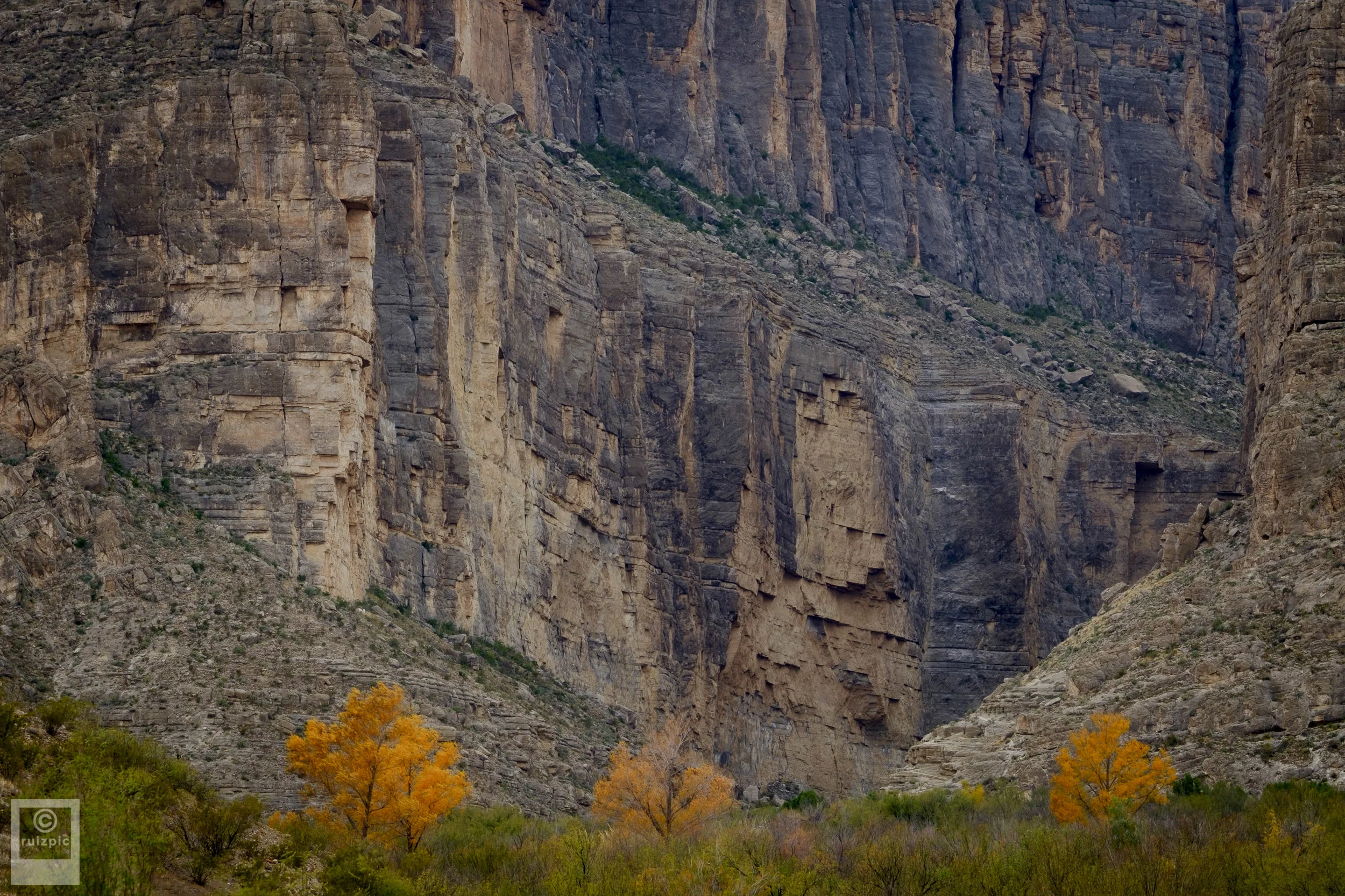 JustinRuizPhotography_filename_DSF0827-Edit.jpg