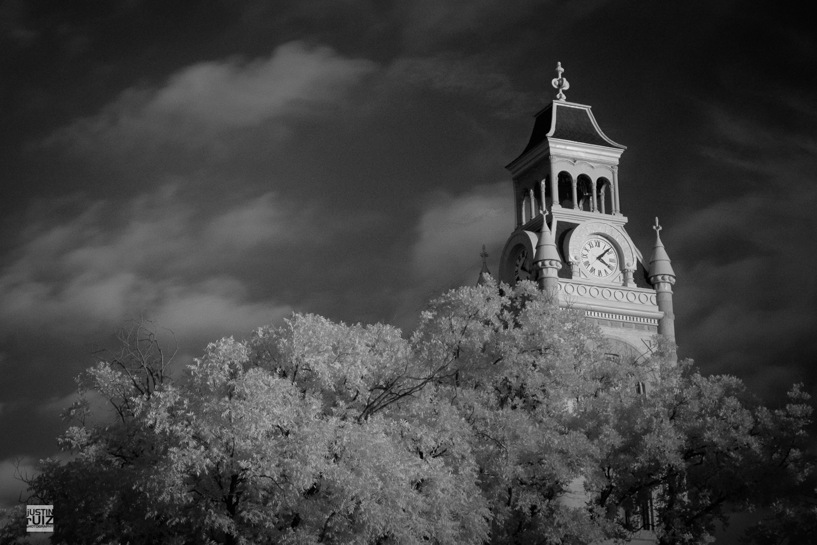 JustinRuizPhotography-9504.jpg