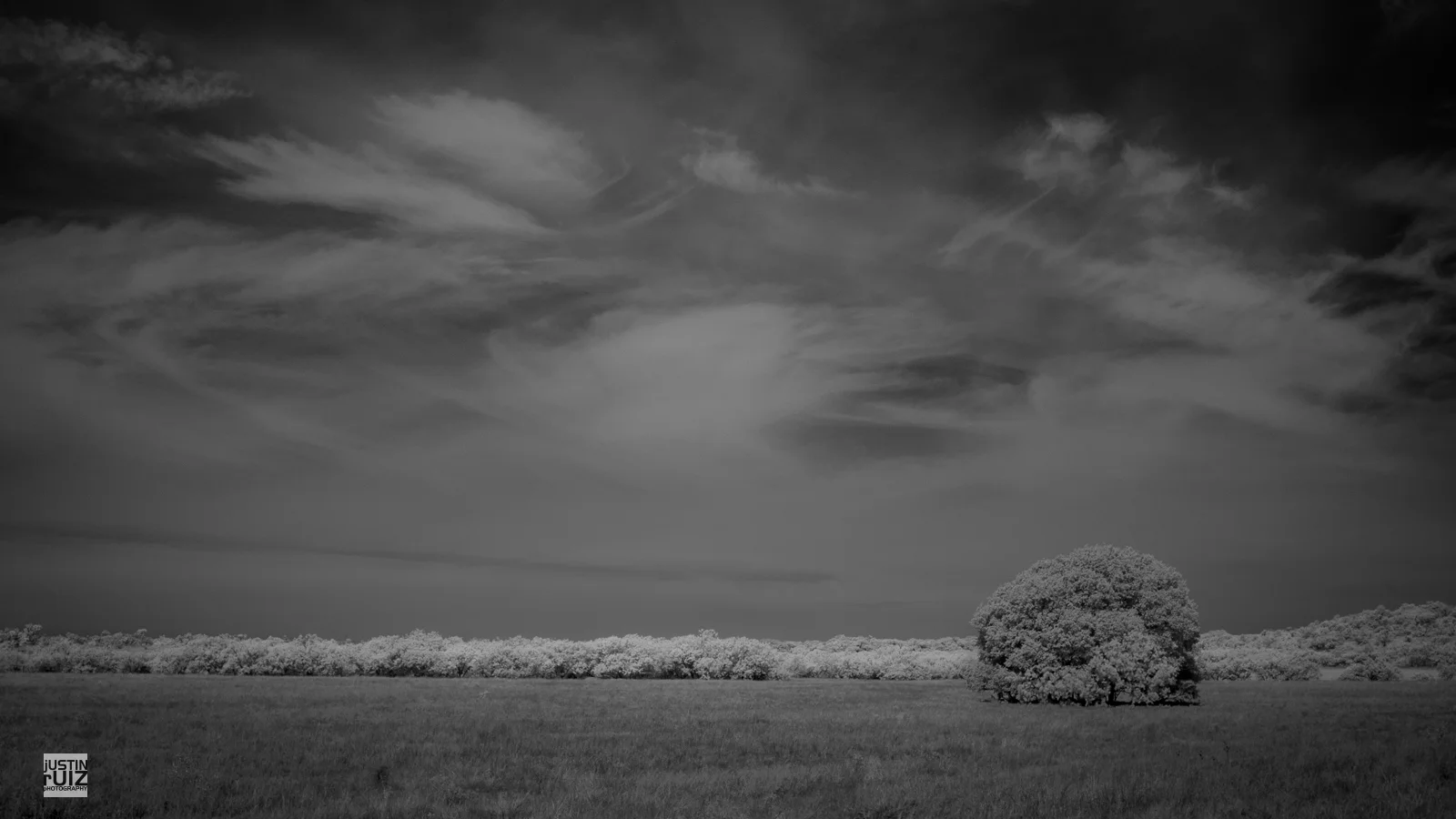 JustinRuizPhotography-9547.jpg
