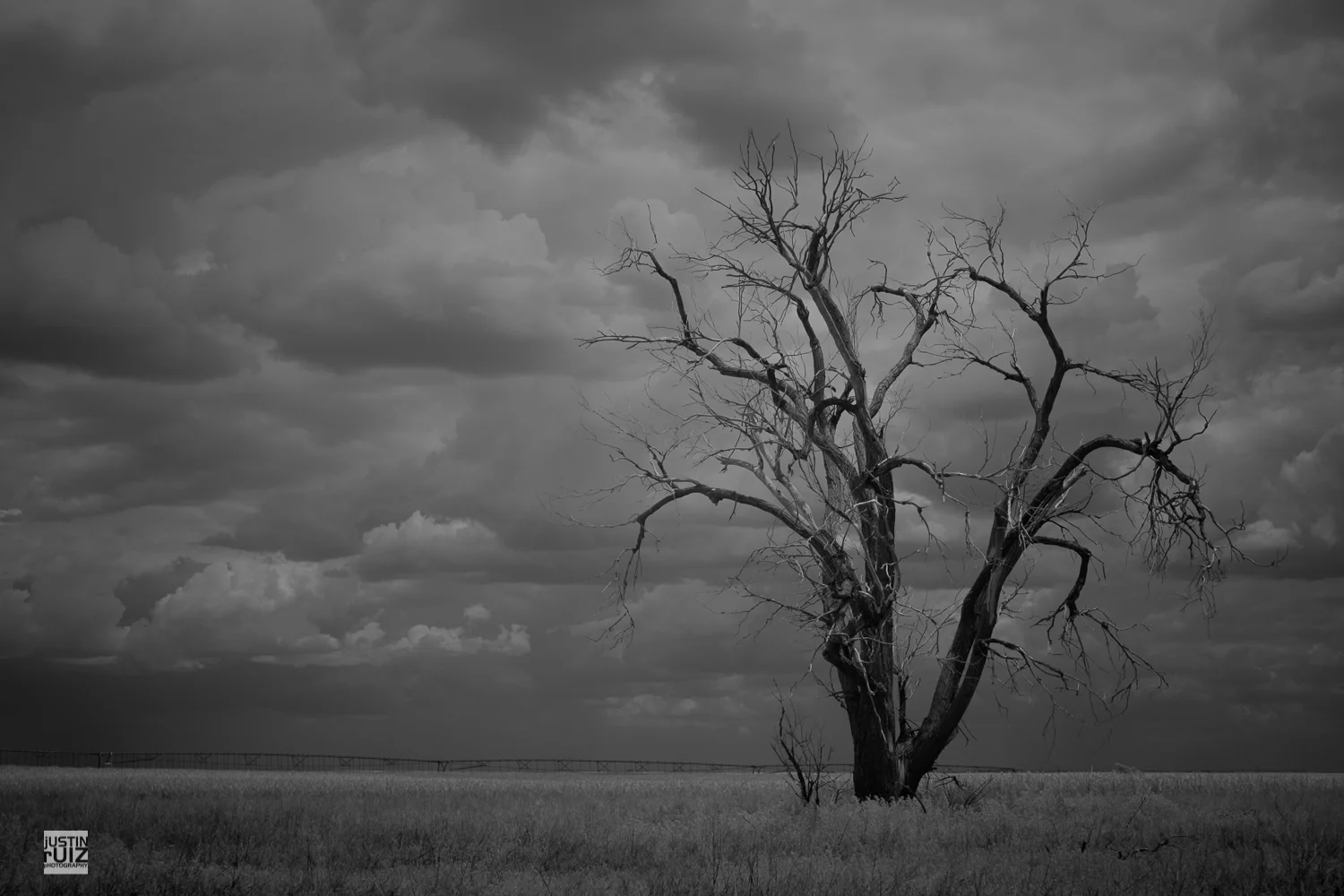 JustinRuizPhotography-9778.jpg