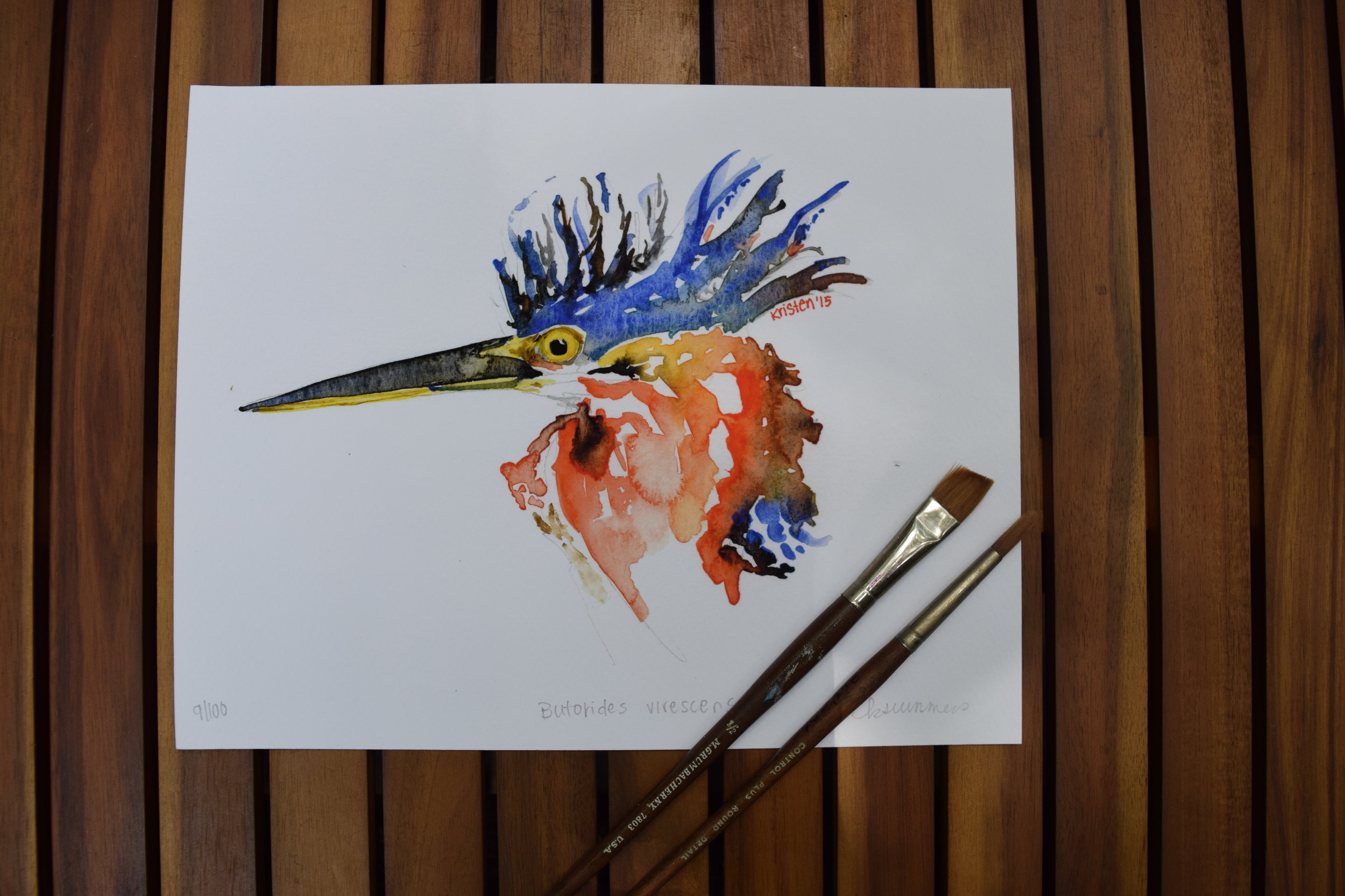 Green Heron 1