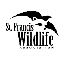 stfrancis.jpg
