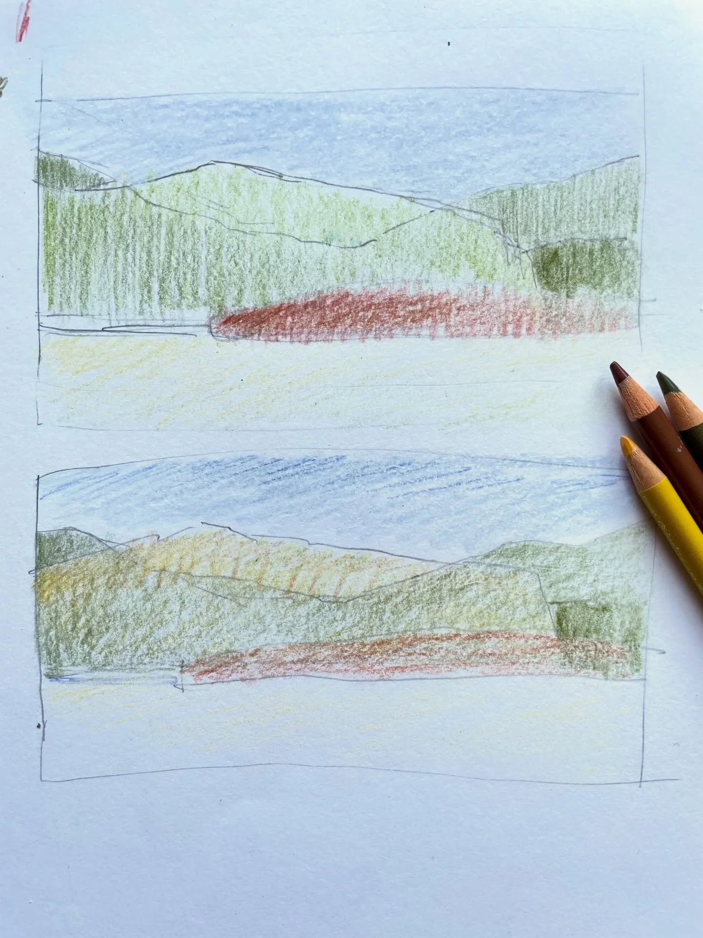 Scheming. #printmaking #woodcut #sketch #nooksack #landscape