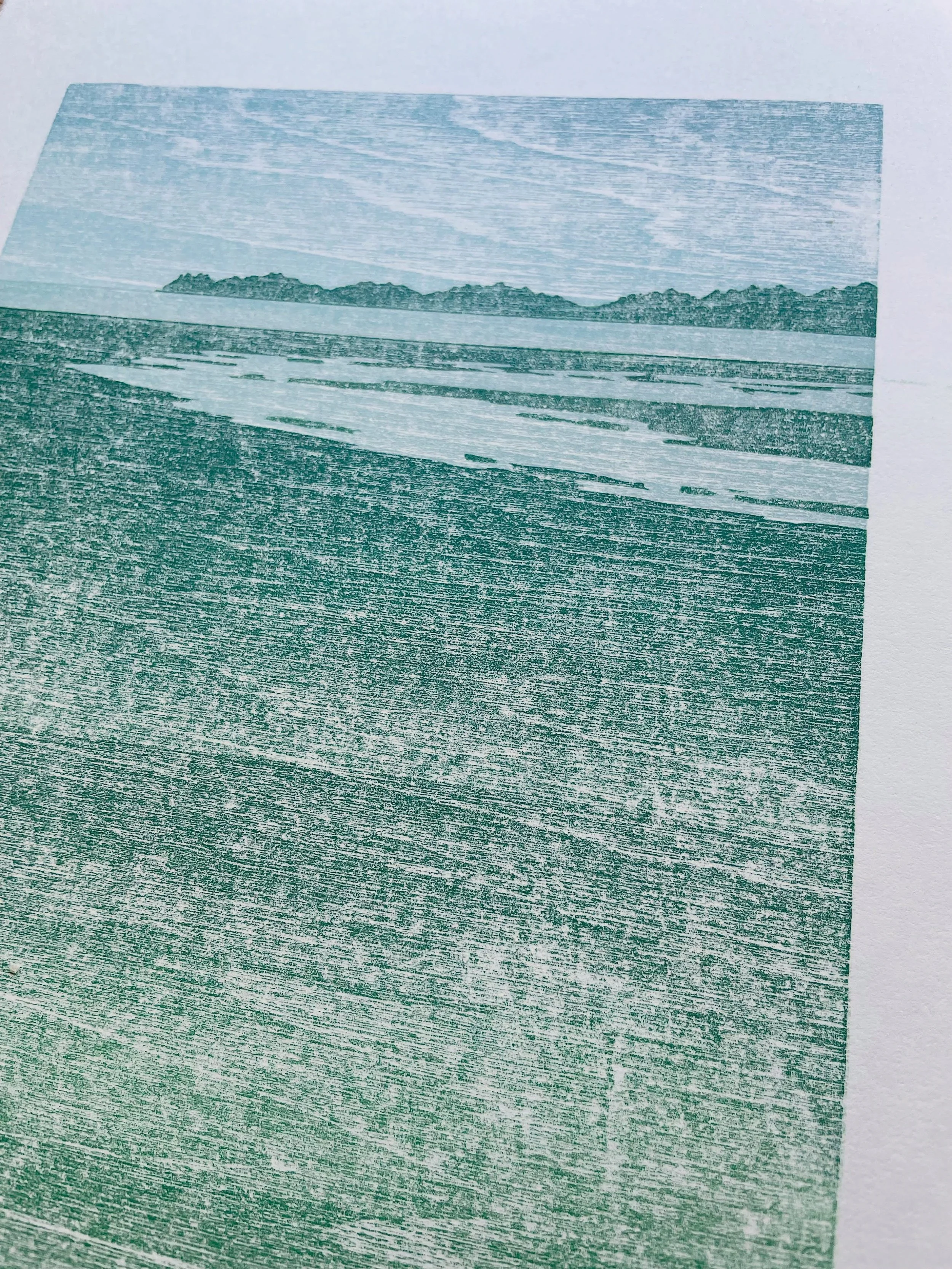 Sneak peek of early proof of a new print. Next step is fine tuning colors. #seashore #washingtoncoast #woodblockprint #printmaking #artprocess