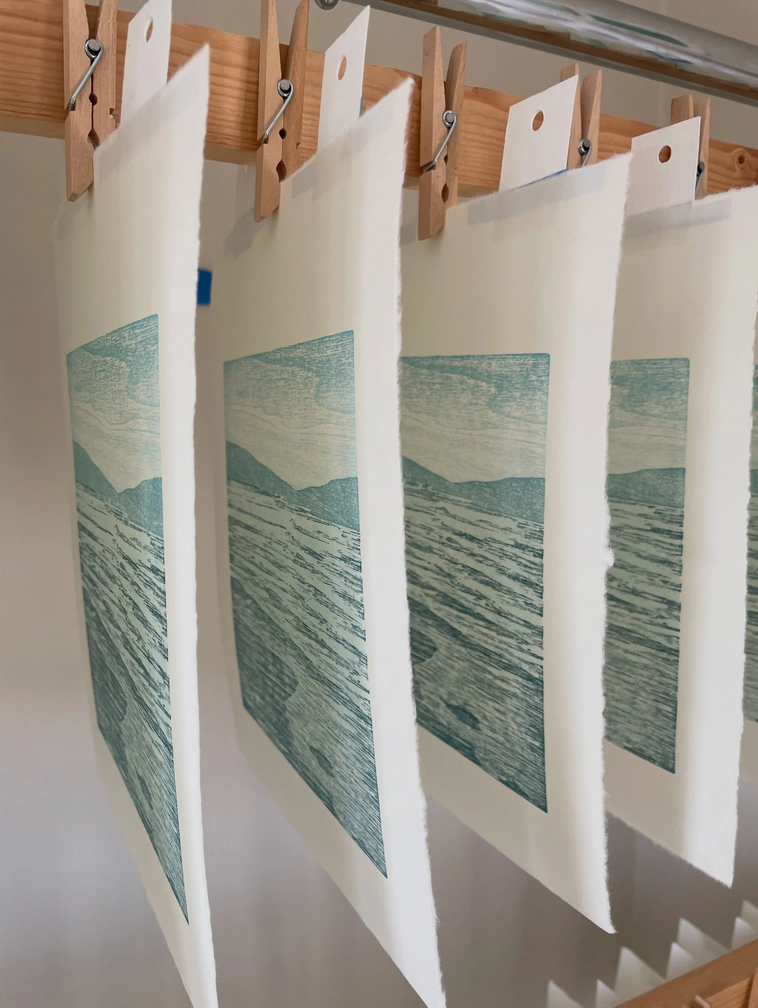 Two more layers to go! #printmaking #woodcut #reliefprint #anacortes #seascape