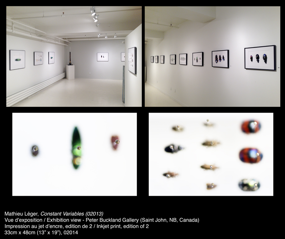 00MathieuLeger2014ConstantVariables02013ShowView.jpg