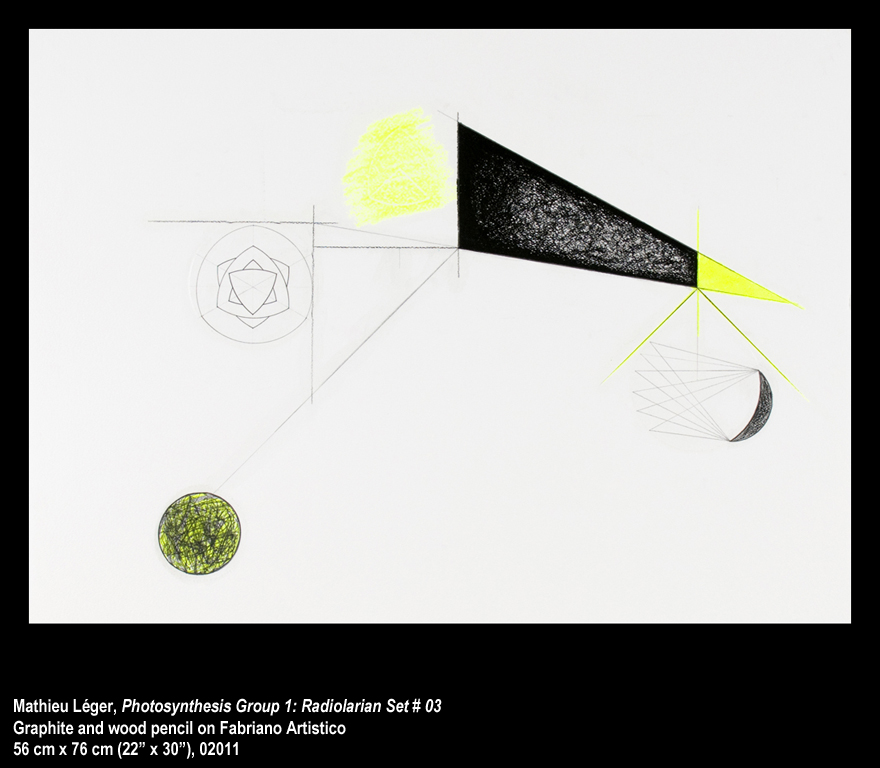 ML2011PhotoSynthesisGroup1-03WEB.jpg