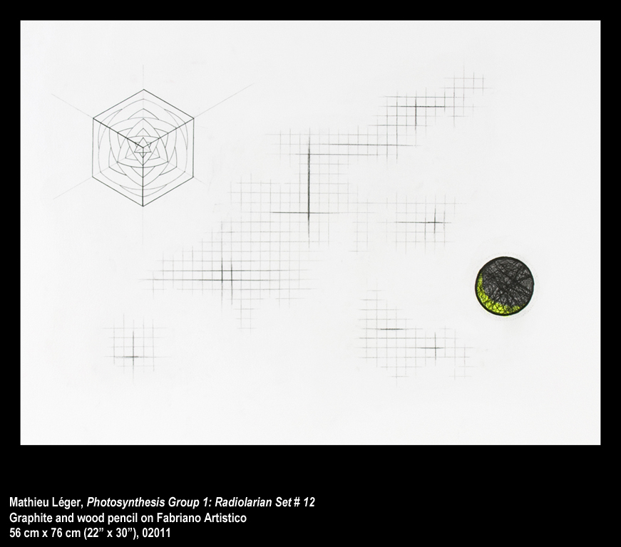 ML2011PhotoSynthesisGroup1-12WEB.jpg