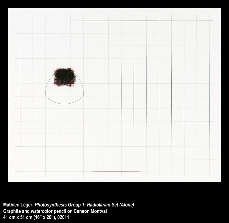 ML2011PhotoSynthesisGroup1AloneWEB.jpg