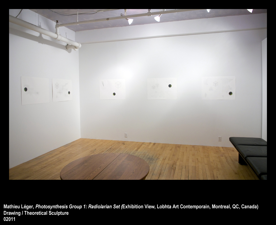 ML2011PhotoSynthesisGroup1ExhibitionView1WEB.jpg